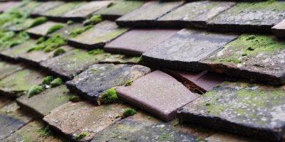 Butlers Cross roof repair costs